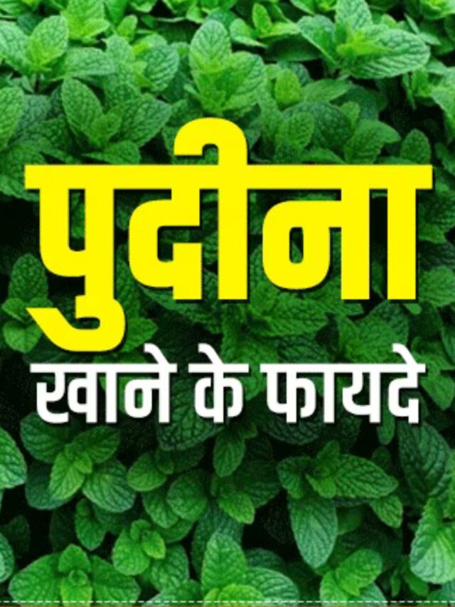 खाली पेट पुदीना खाने के फायदे